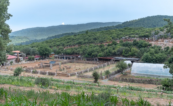 Vegetable garden at Yenice Vadi